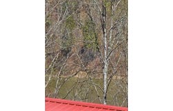 182 Mayberry Drive, SMITHVILLE, TN 37166