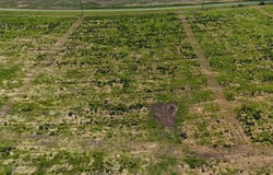 0-Lot 2 County Road 17, Headland, AL 36345