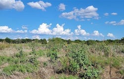 0000 CR-4106, Kaufman, TX 75142