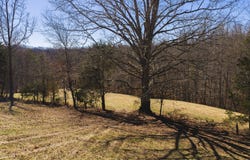 50 Acres Sutton Hollow Road, Sneedville, TN 37869