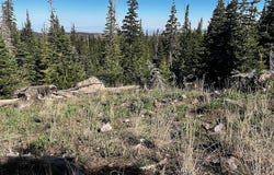 115 S Olympic DR, Brian Head, UT 84719
