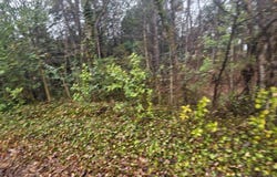235 Madison Road, China Grove, NC 28023