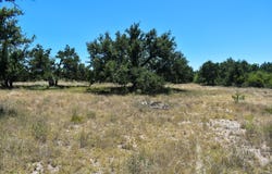 2035 CR 448, Rochelle, TX 76827