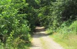 Lt#4 Longview Circle, Black Mountain, NC 28711