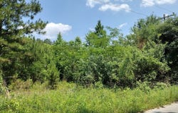 00 Lot3 Meagen Lane, Manning, SC 29102