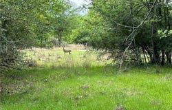 00 Hickory Loop Road, Thornton, TX 76687