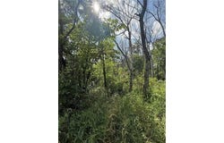0 Dunkard, Harrison, AR 72601