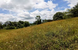 0 Brackenridge Rd, Vincent, OH 45784