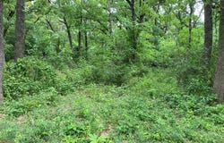 Tbd NW County Road 3323, Frost, TX 76641
