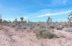 26225 N Humming Bird Lane, Meadview, AZ 86444
