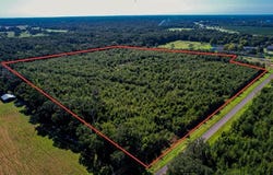 205 AVENUE NE, WILLISTON, FL 32696