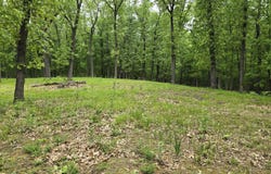 Lot 10 North Dr, Knox, IN 46534