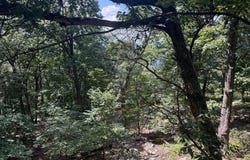 0 FIRE TOWER ROAD, GREAT CACAPON, WV 25422