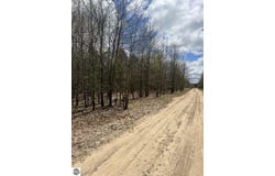 00 HORTON 14 MILE ROAD, MESICK, MI 49668