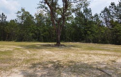 0 Steed Creek Rd, Huger, SC 29450