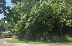 Pine, Stevensville, MI 49127