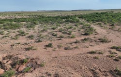 CR 145, Post, TX 79356