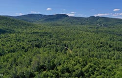 49 The Woods, Johnsburg, NY 12853