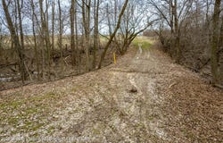 005 S Skyline Drive, Perrinton, MI 48871