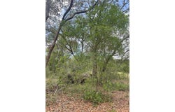JUNIPER STREET, LADY LAKE, FL 32159