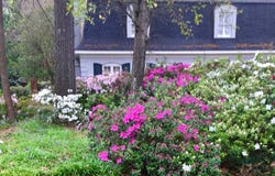 1743 Croom Drive, Montgomery, AL 36106