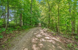 1391 Lake Wilson Road S, Hillsdale, MI 49242