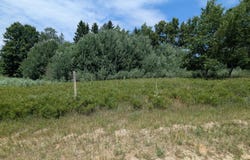 11526 S Lookout Ridge Ridge, Stanwood, MI 49346