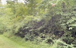 1111 Whitley Trail, London, KY 40741