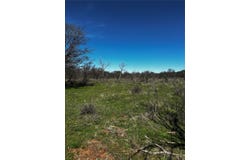382 High Plains Court, Bellevue, TX 76230
