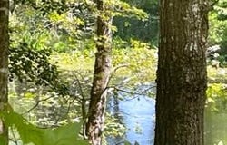 Lots 26 and 27 OLDE MILL LANE, NEW CHURCH, VA 23415