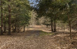 00 BENZIE HIGHWAY, BENZONIA, MI 49616