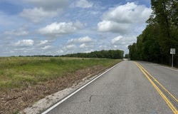54 Acres Hwy 207, Anderson, AL 35610