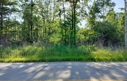 Vl 56th Street, Fennville, MI 49408