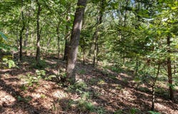 000 S 52nd Road, Humansville, MO 65674