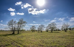 TBD Trenckmann Road, Sealy, TX 77474