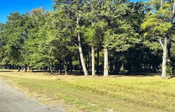 Lot 65 Sombrilla Lane, Kerens, TX 75144