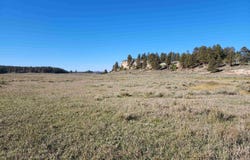 Tbd Divide Road, Whitewater, CO 81527