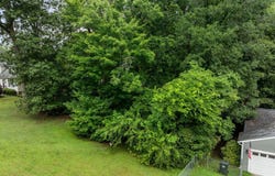 Tbd Cornwallis Drive, Mebane, NC 27302