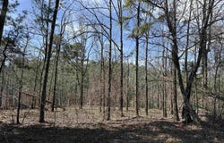 TBD Sangster Lane, Hot Springs, AR 71901
