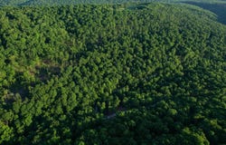 01 Chimney Field Rd, Winslow, AR 72959