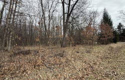 0 Budd Rd, Stockbridge, MI 49285