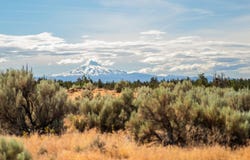 711 NE Good Pasture Loop, Terrebonne, OR 97760