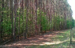 Pleasant Hills Road, Amory, MS 38821