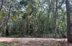 98 Cox Road, Monticello, FL 32344