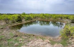 Tbd 162 CR 108 / 101, Santa Anna, TX 76878