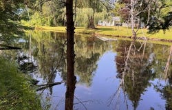 3754 Victor Drive, Indian River, MI 49749
