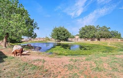 10965 E Emerson St, Gardendale, TX 79758