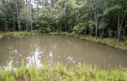 TBD N HWY 326 TX, Sour Lake, TX 77659