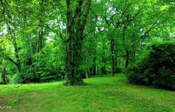 408 Watauga Drive, Knoxville, TN 37918