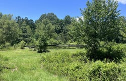Magnolia Springs Boulevard, Florence, MS 39073